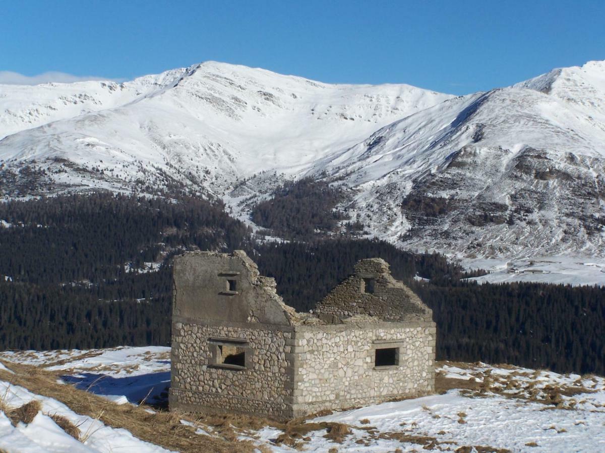 Apartament Balcone Sulle Dolomiti Comèlico Superiore Zewnętrze zdjęcie