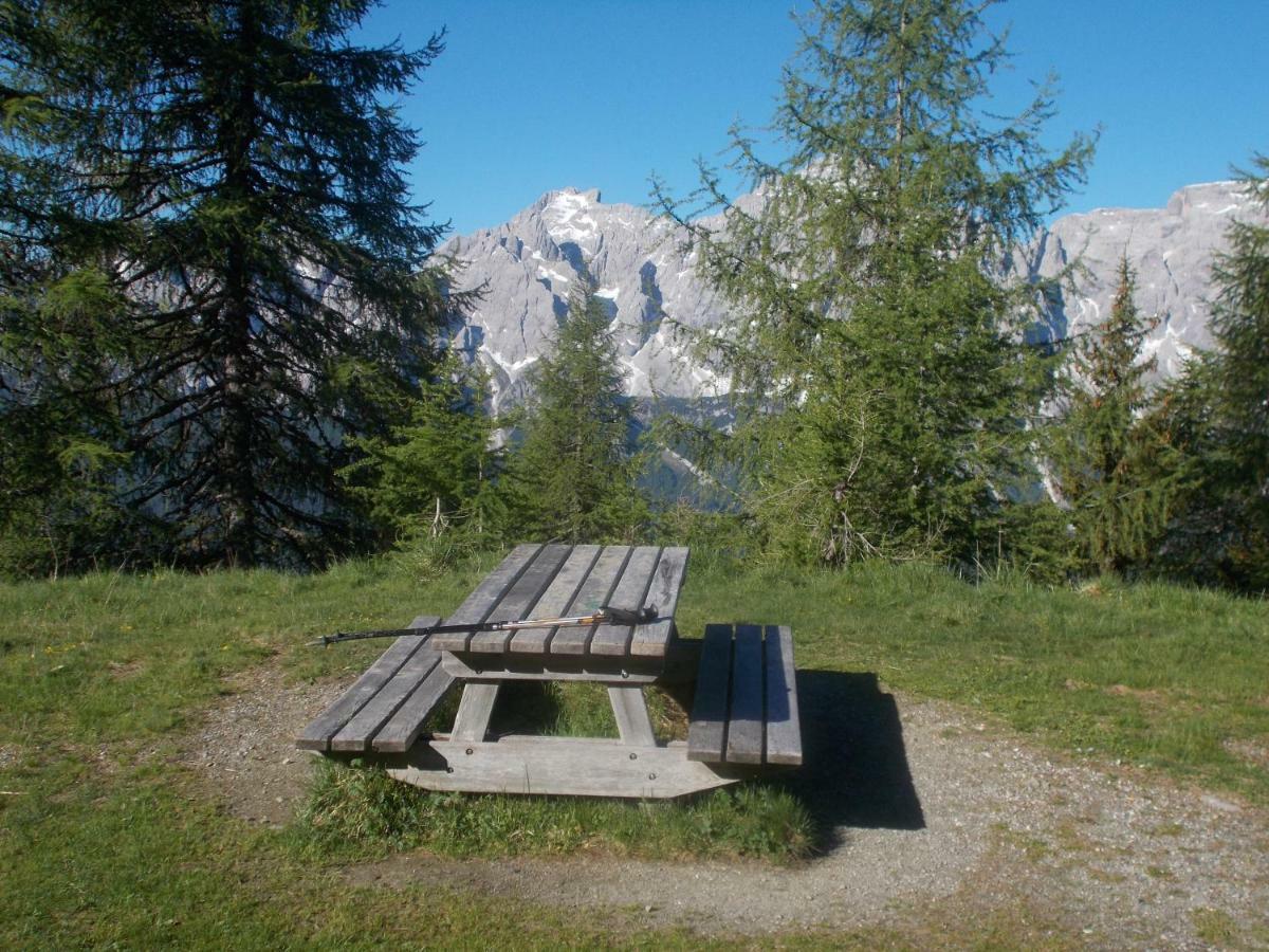 Apartament Balcone Sulle Dolomiti Comèlico Superiore Zewnętrze zdjęcie